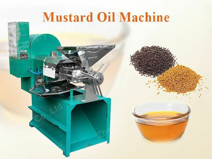 Mustard oil extraction machine